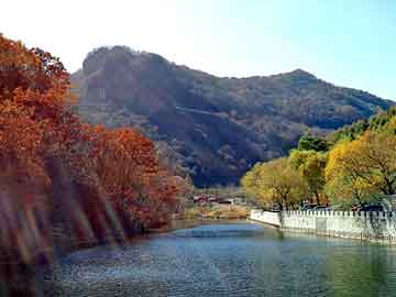 王河村民委员会，提升道路安全，推动交通发展新进展